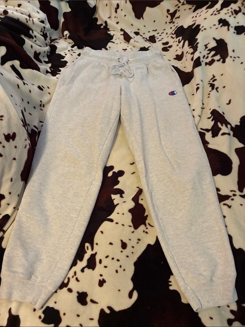 Champion Gray Kids Drawstring Sweatpants with Small Logo